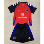 Camiseta Hamburger SV 3ª Equipación 2024/2025 Niño Kit