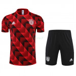 Camiseta de Entrenamiento Bayern Múnich 2022/2023 Kit Rojo/Negro