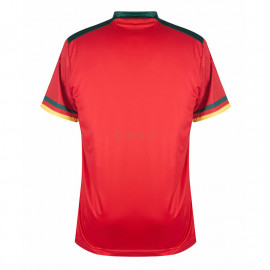 Camiseta Cameroon 3ª Equipación 2022 Mundial