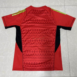 Camiseta de Portero Tigres UANL 2023/2024 Rojo