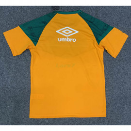 Camiseta de Entrenamiento Fluminense 2023/2024 Amarillo/Verde