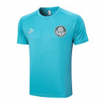 Camiseta de Entrenamiento Palmeiras 2023/2024 Azul