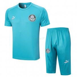 Camiseta de Entrenamiento Palmeiras 2023/2024 Azul