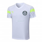 Camiseta de Entrenamiento Palmeiras 2023/2024 Blanco