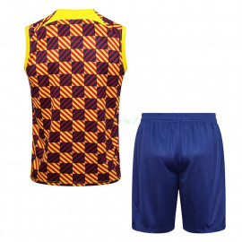 Camiseta de Entrenamiento Barcelona Sin Mangas 2023/2024 Kit Amarillo