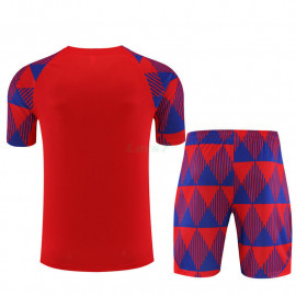 Camiseta de Entrenamiento Barcelona 2023/2024 Niño Kit Rojo/Azul