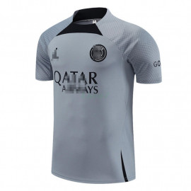 Camiseta de Entrenamiento PSG 2023/2024 Gris