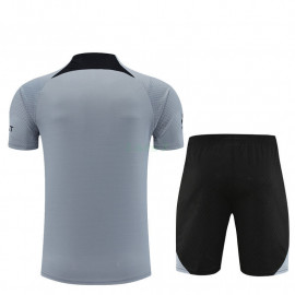 Camiseta de Entrenamiento PSG 2023/2024 Kit Gris