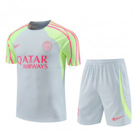 Camiseta de Entrenamiento PSG 2023/2024 Kit Gris Claro/Verde