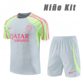 Camiseta de Entrenamiento PSG 2023/2024 Niño Kit Gris Claro/Verde