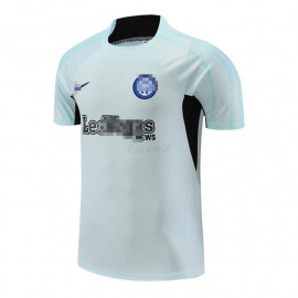 Camiseta de Entrenamiento Inter De Mlian 2023/2024 Gris Claro