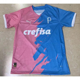 Camiseta Palmeiras 2023/2024 Especial Edición Rosa/Azul