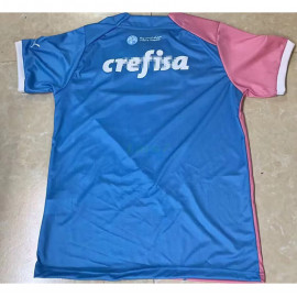 Camiseta Palmeiras 2023/2024 Especial Edición Rosa/Azul