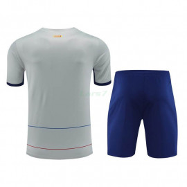 Camiseta de Entrenamiento Barcelona 2023/2024 Gris