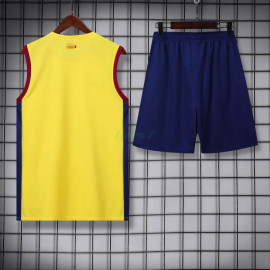 Camiseta de Entrenamiento Barcelona Sin Mangas 2023/2024 Kit Amarillo