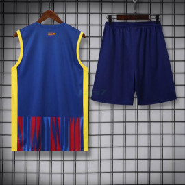 Camiseta de Entrenamiento Barcelona Sin Mangas 2023/2024 Kit Azul/Rojo