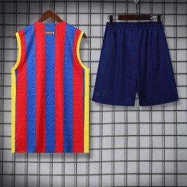 Camiseta de Entrenamiento Barcelona Sin Mangas 2023/2024 Kit Rojo/Azul/Amarillo