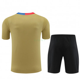 Camiseta de Entrenamiento Barcelona 2023/2024 Dorado