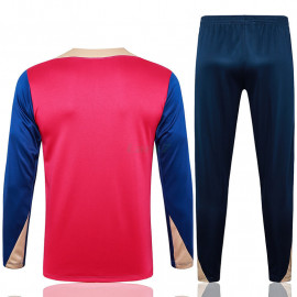 Sudadera de Entrenamiento Barcelona 2024/2025 Rojo/Azul/Dorado