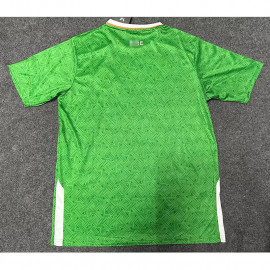 Camiseta Irlanda 1ª Equipación 2024