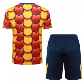 Camiseta de Entrenamiento Barcelona 2024/2025 Kit Amarillo/Rojo