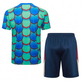 Camiseta de Entrenamiento Barcelona 2024/2025 Kit Verde/Azul